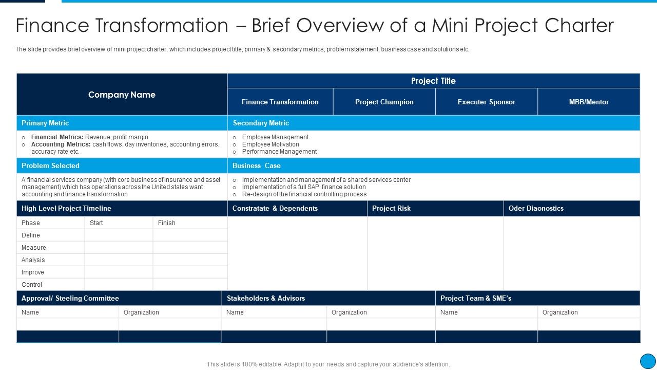 Summary_Finance_Transformation_Brief_Overview_Of_A_Mini_Project_Charter_Infographics_PDF_Slide_1.jpg