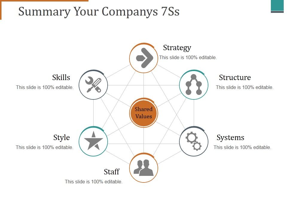 Summary_Your_Companys_7Ss_Ppt_PowerPoint_Presentation_Portfolio_Brochure_Slide_1.jpg