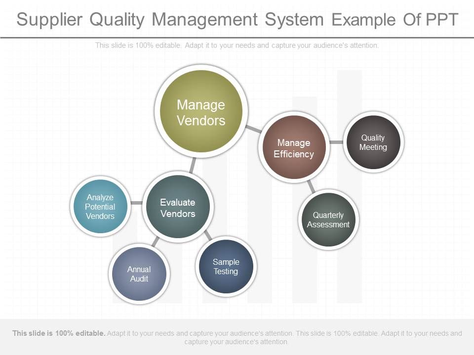 Supplier_Quality_Management_System_Example_Of_Ppt_1.jpg