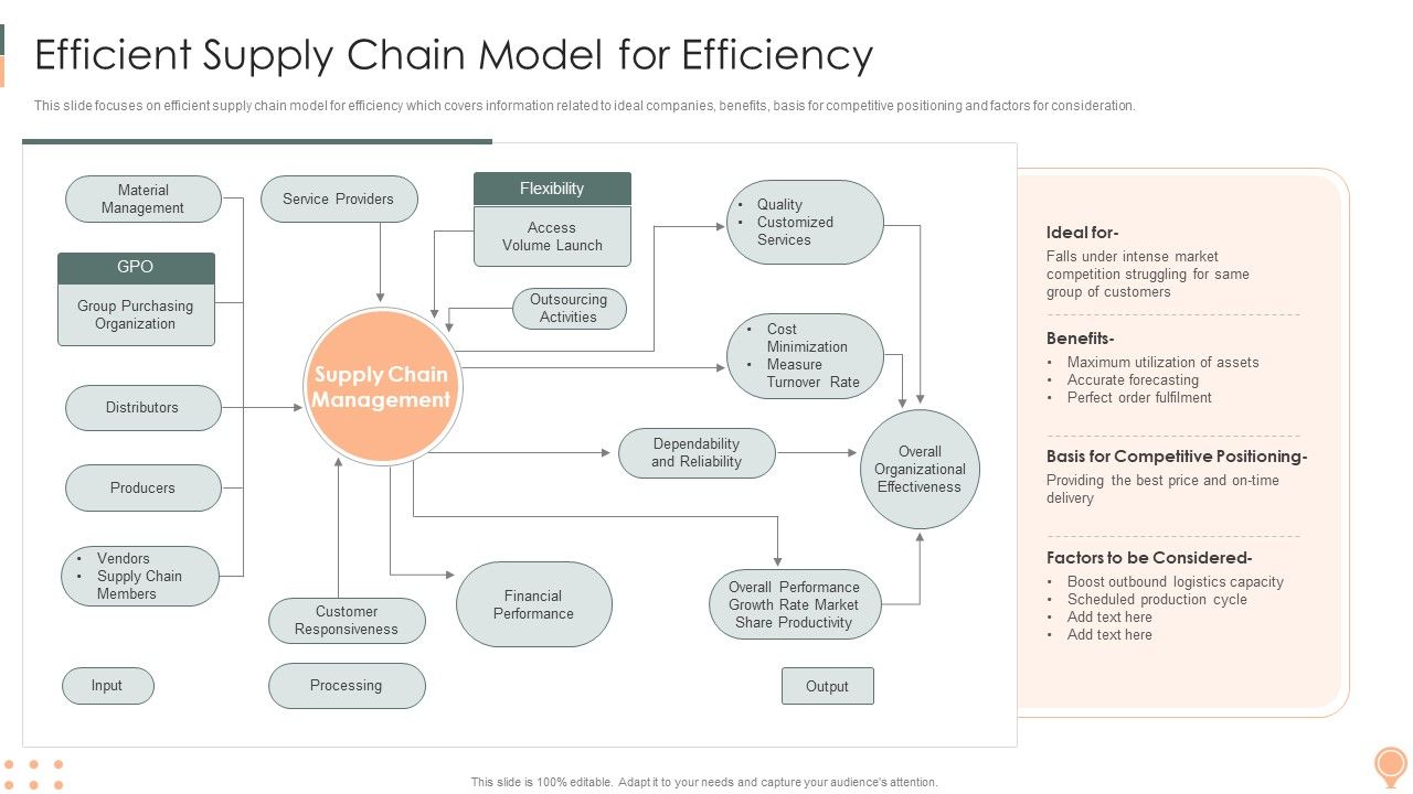 Supply_Chain_Approaches_Efficientsupply_Chain_Model_For_Efficiency_Sample_PDF_Slide_1.jpg
