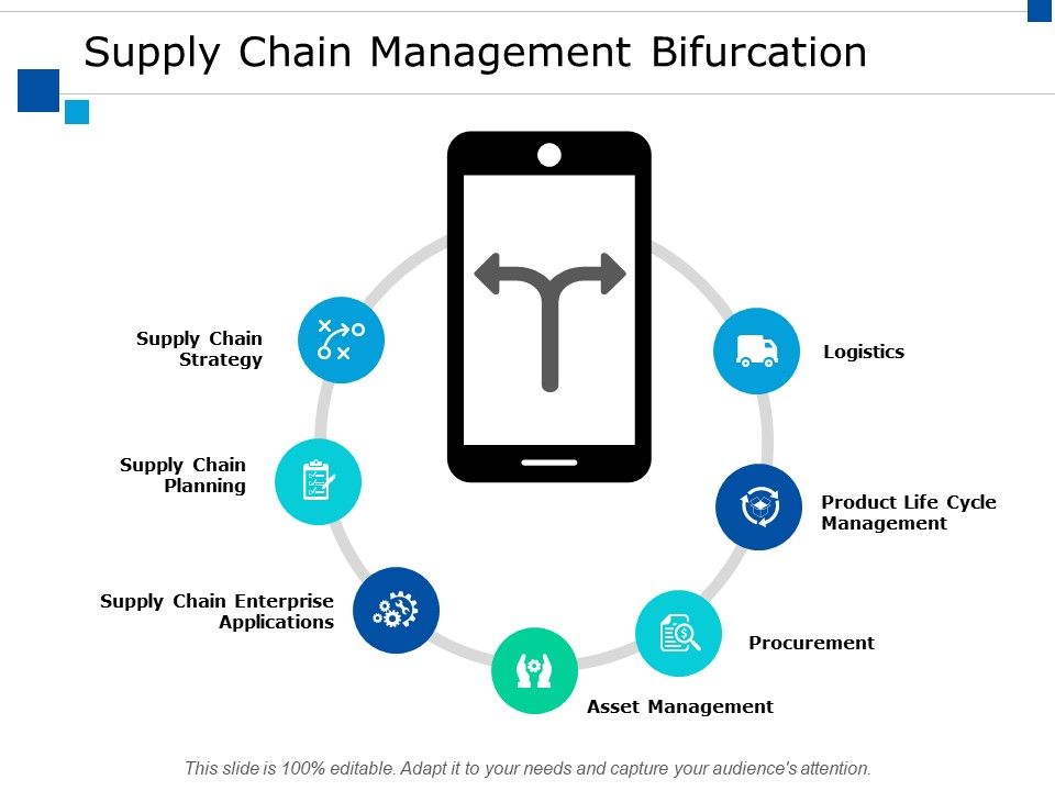 Supply_Chain_Management_Bifurcation_Ppt_PowerPoint_Presentation_Infographics_Mockup_Slide_1.jpg