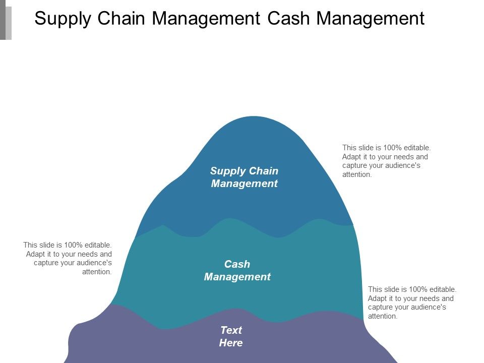 Supply_Chain_Management_Cash_Management_Ppt_PowerPoint_Presentation_Ideas_Maker_Slide_1.jpg