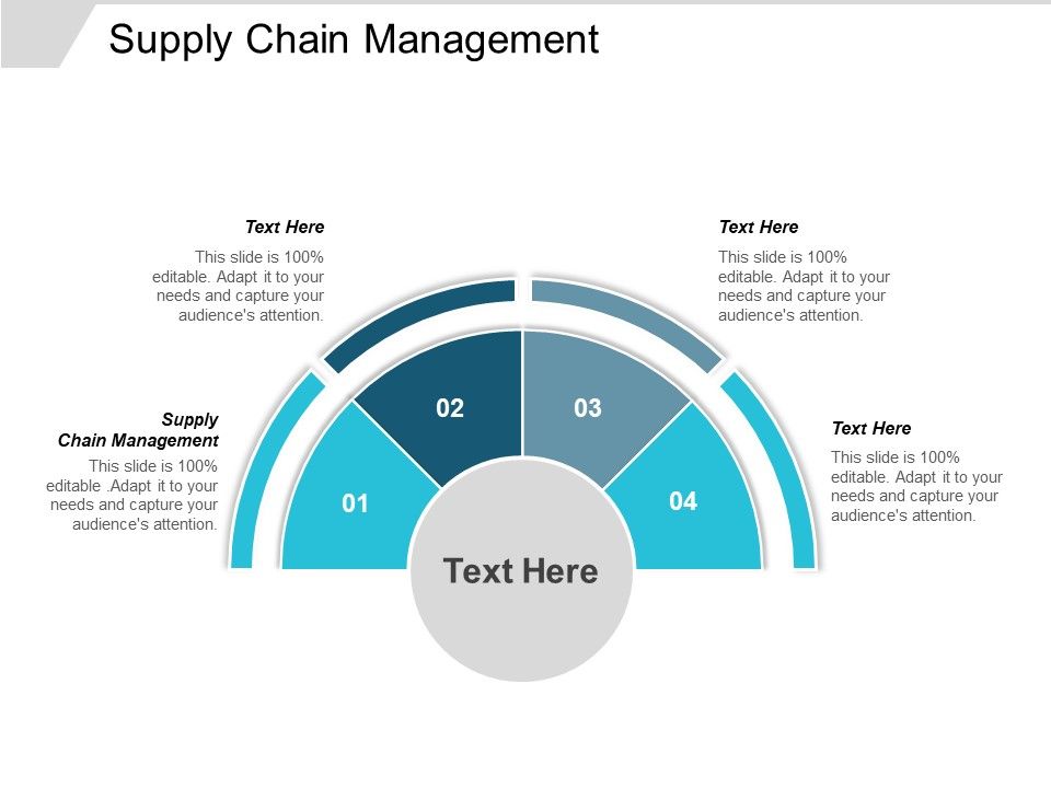 Supply_Chain_Management_Ppt_PowerPoint_Presentation_Portfolio_Information_Slide_1.jpg