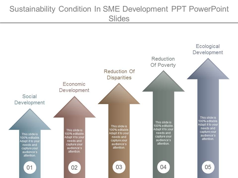 Sustainability_Condition_In_Sme_Development_Ppt_Powerpoint_Slides_1.jpg