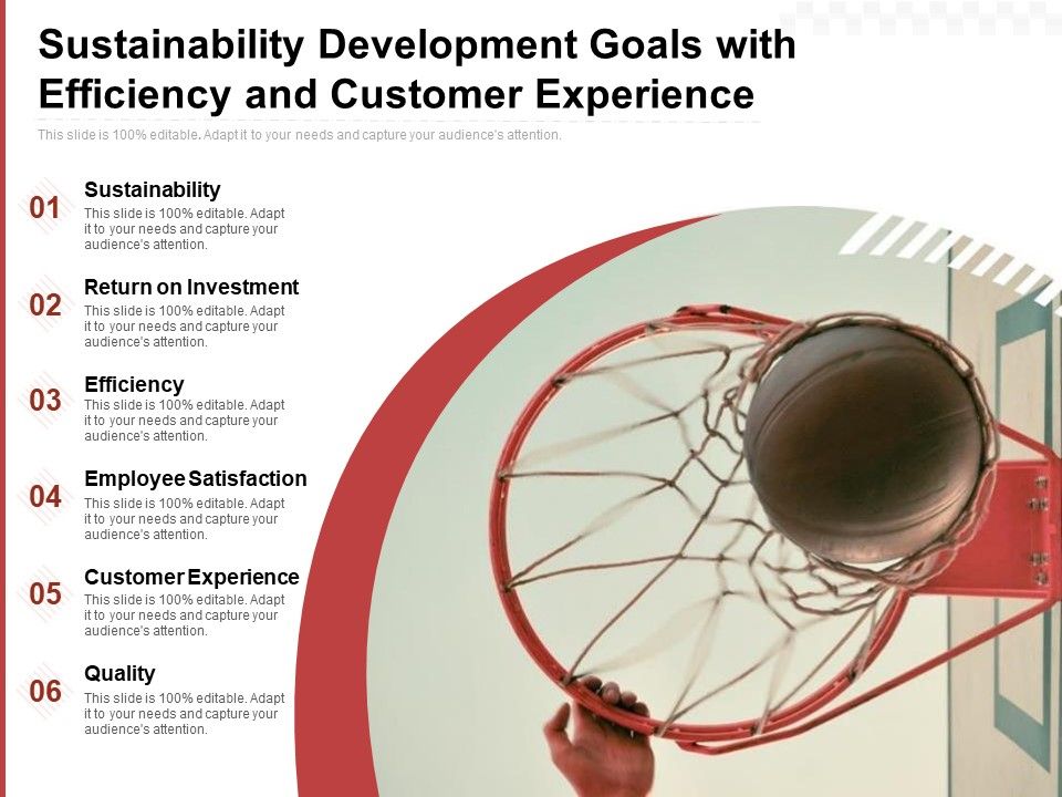 Sustainability_Development_Goals_With_Efficiency_And_Customer_Experience_Ppt_PowerPoint_Presentation_Styles_Diagrams_PDF_Slide_1.jpg