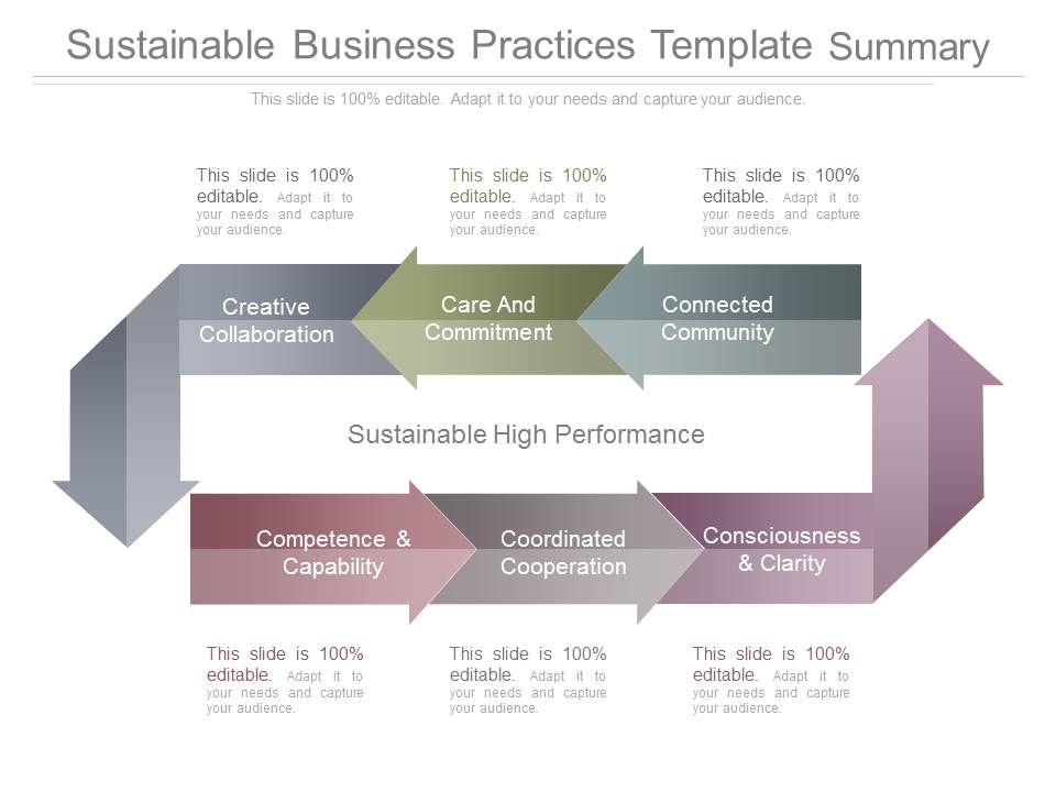 Sustainable_Business_Practices_Template_Summary_1.jpg