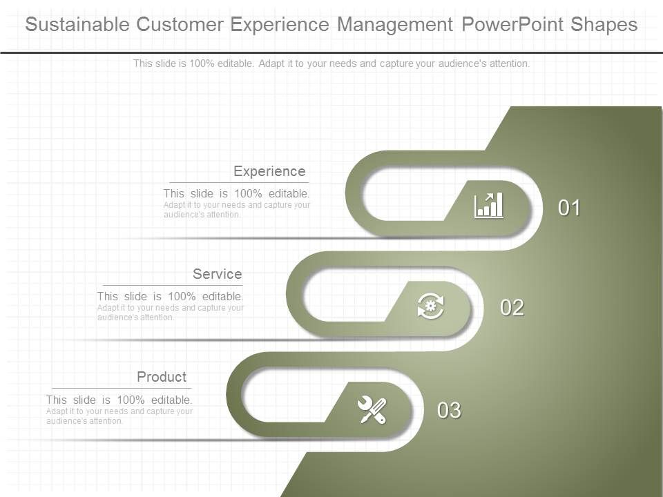 Sustainable_Customer_Experience_Management_Powerpoint_Shapes_1.jpg