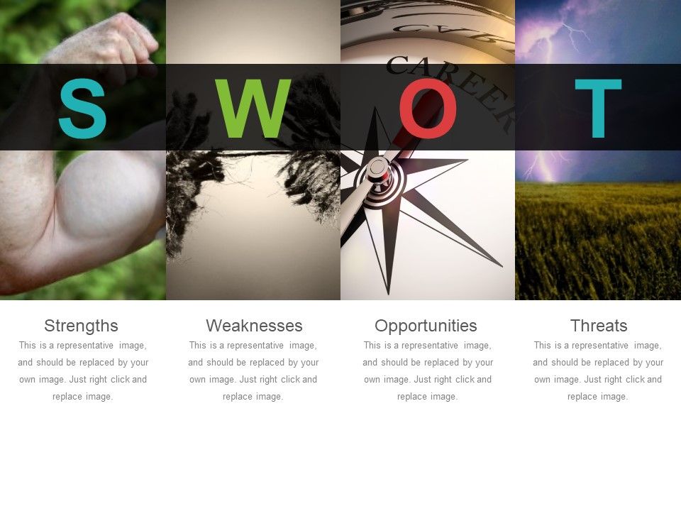 Swot_Ppt_PowerPoint_Presentation_Professional_Graphics_Slide_1.jpg
