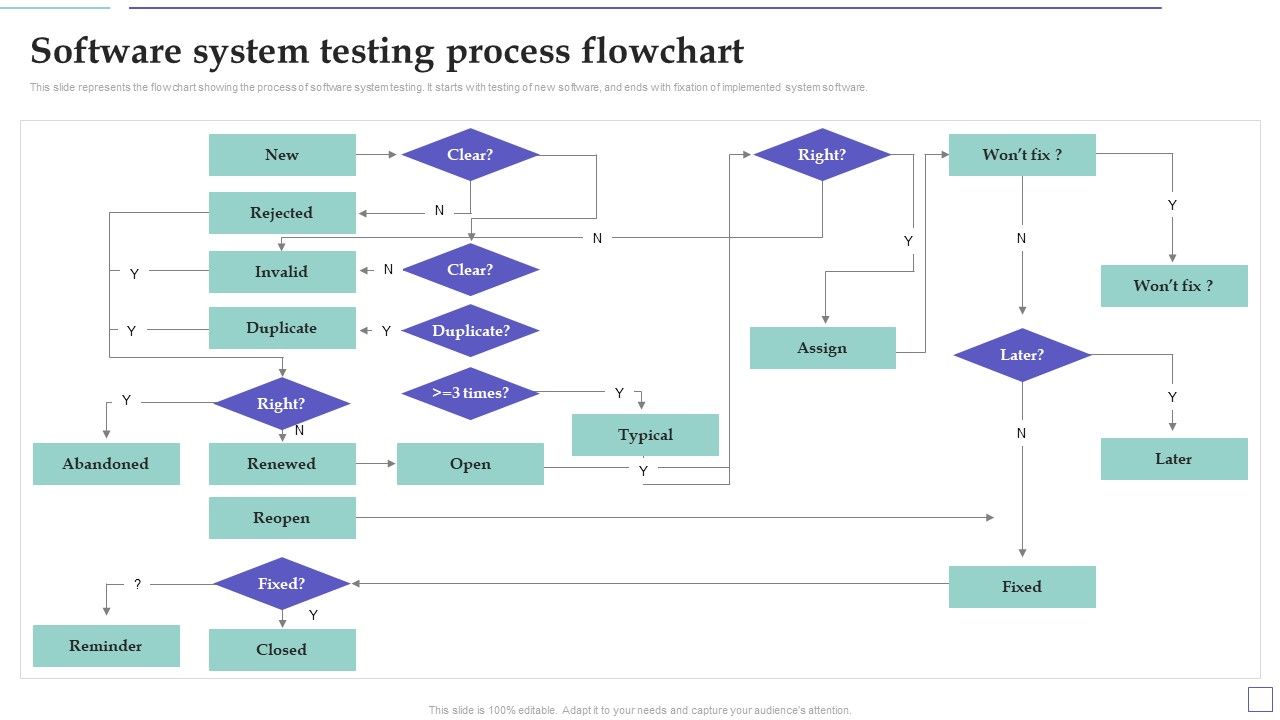 System_Deployment_Project_Software_System_Testing_Process_Flowchart_Brochure_PDF_Slide_1.jpg