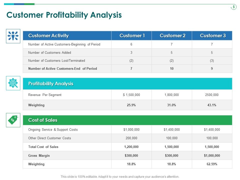 TCM_Customer_Profitability_Analysis_Ppt_Infographic_Template_Master_Slide_PDF_Slide_1.jpg