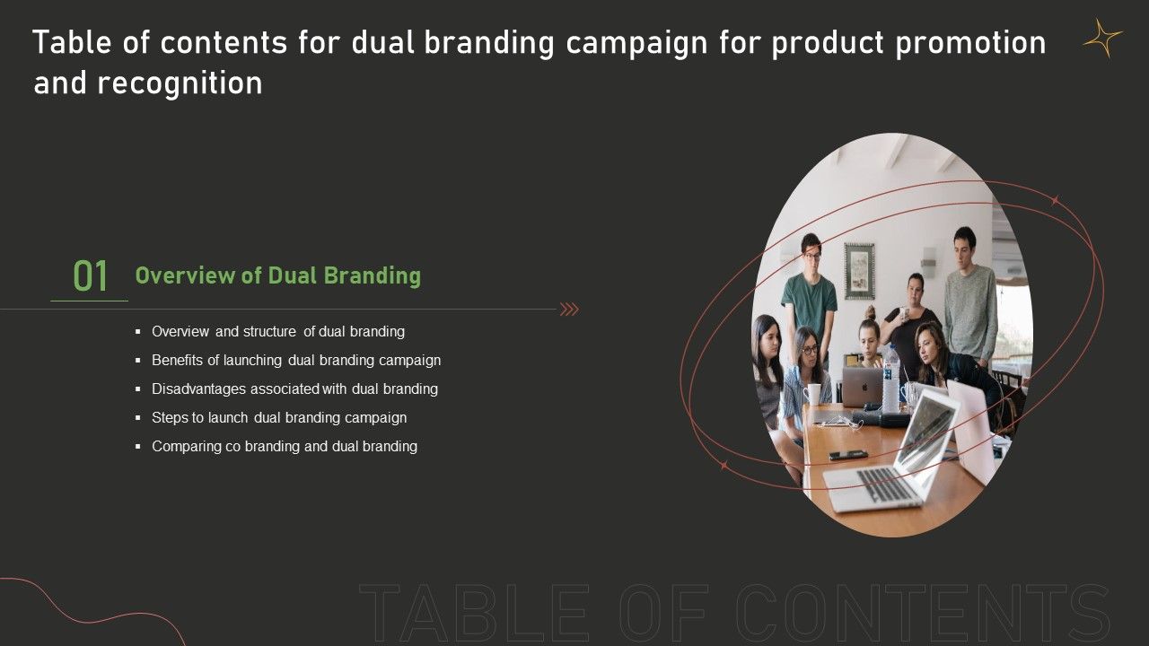 Table_Of_Contents_For_Dual_Branding_Campaign_For_Product_Promotion_And_Recognition_Slide_Professional_PDF_Slide_1.jpg