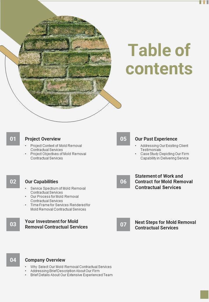Table_Of_Contents_Proposal_For_Mold_Removal_Contractual_Services_One_Pager_Sample_Example_Document_Slide_1.jpg