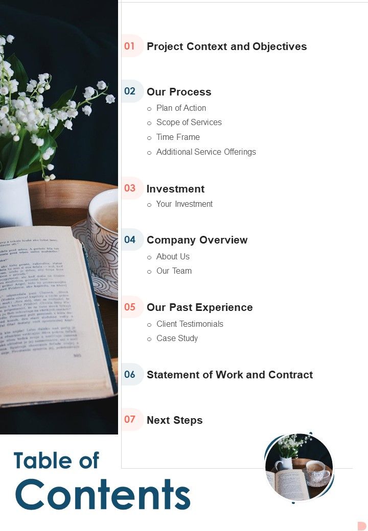 Table Of Contents Proposal For Publish Documentary Proposal One Pager Sample Example Document Slide01