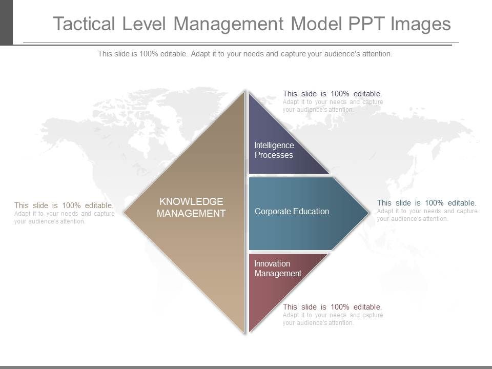 Tactical_Level_Management_Model_Ppt_Images_1.jpg