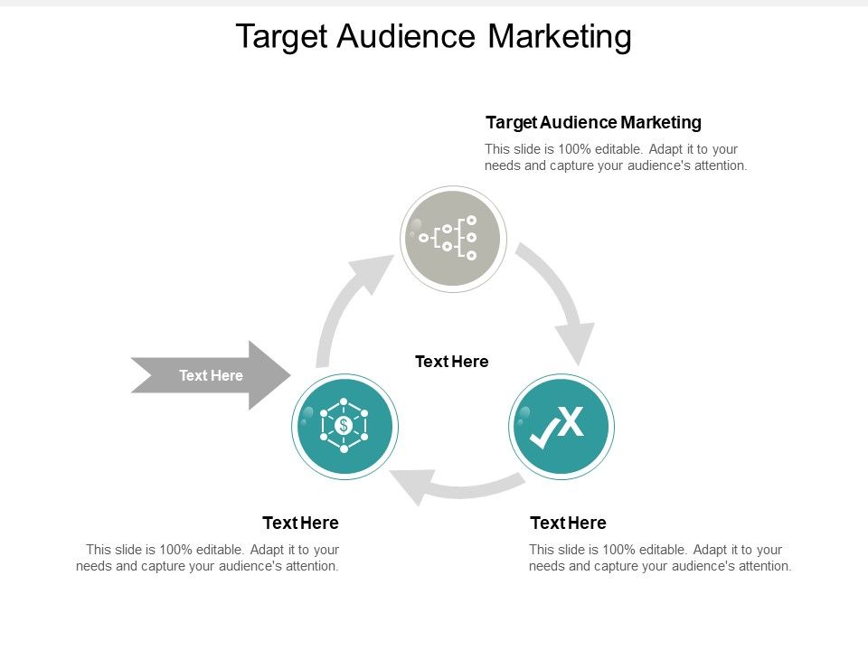 Target_Audience_Marketing_Ppt_PowerPoint_Presentation_Infographic_Template_Guidelines_Cpb_Slide_1.jpg