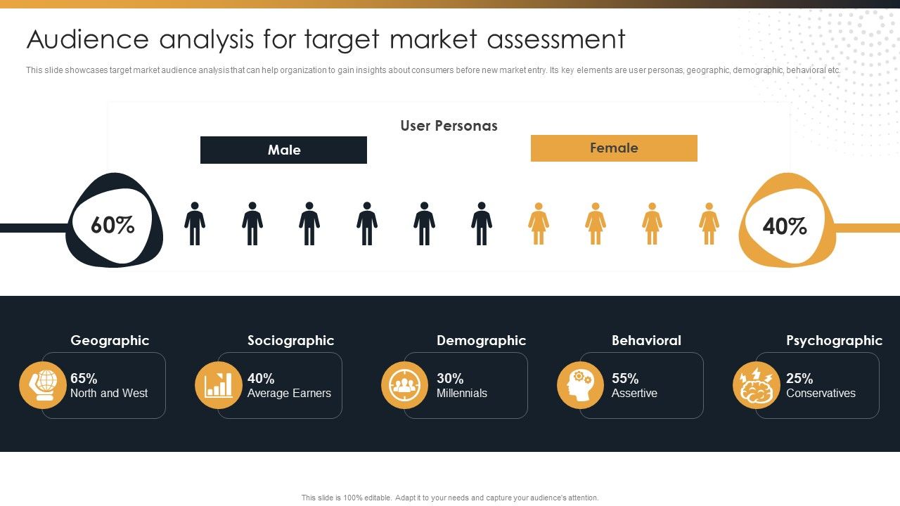 Target_Customer_Analysis_Audience_Analysis_For_Target_Market_Assessment_Professional_PDF_Slide_1.jpg