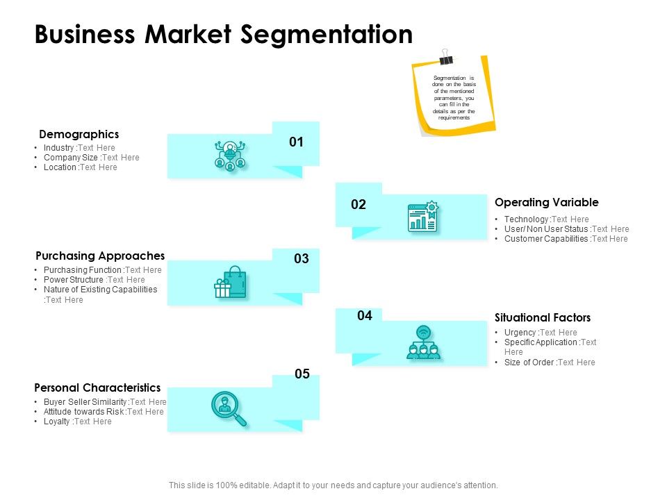 Target_Market_Strategy_Business_Market_Segmentation_Ppt_Infographic_Template_Example_Introduction_PDF_Slide_1.jpg