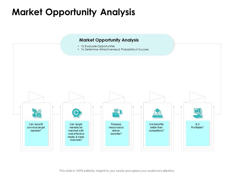 Target_Market_Strategy_Market_Opportunity_Analysis_Ppt_Summary_Vector_PDF_Slide_1.jpg