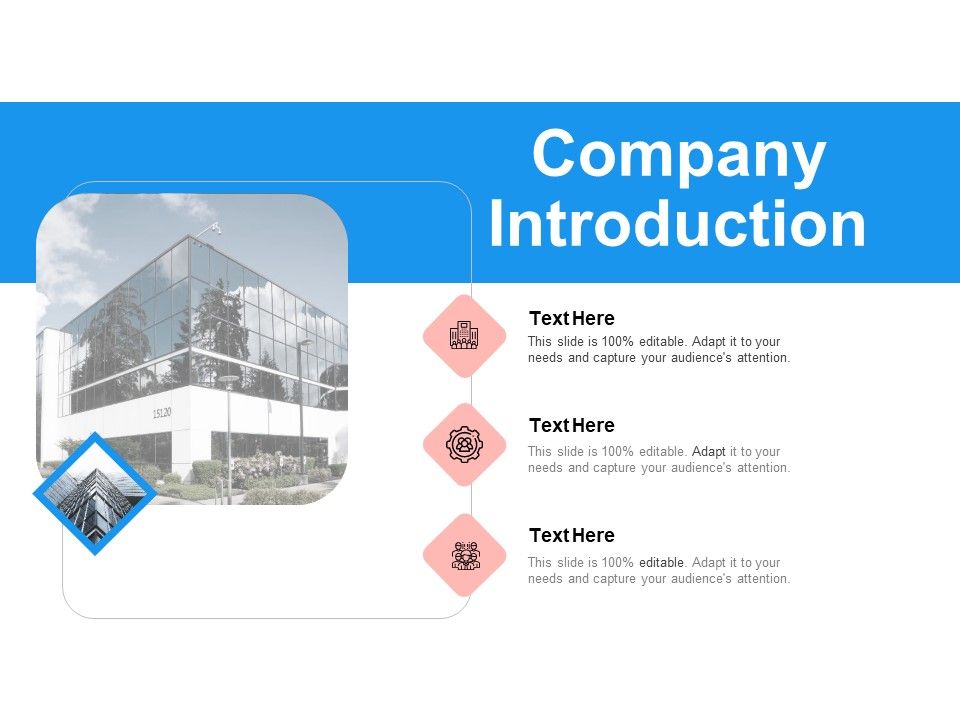 Target_Persona_Company_Introduction_Ppt_Slides_Gallery_PDF_Slide_1.jpg