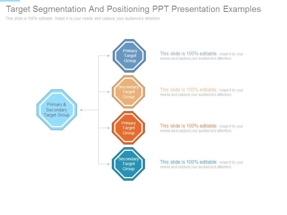 Target_Segmentation_And_Positioning_Ppt_Presentation_Examples_1.jpg