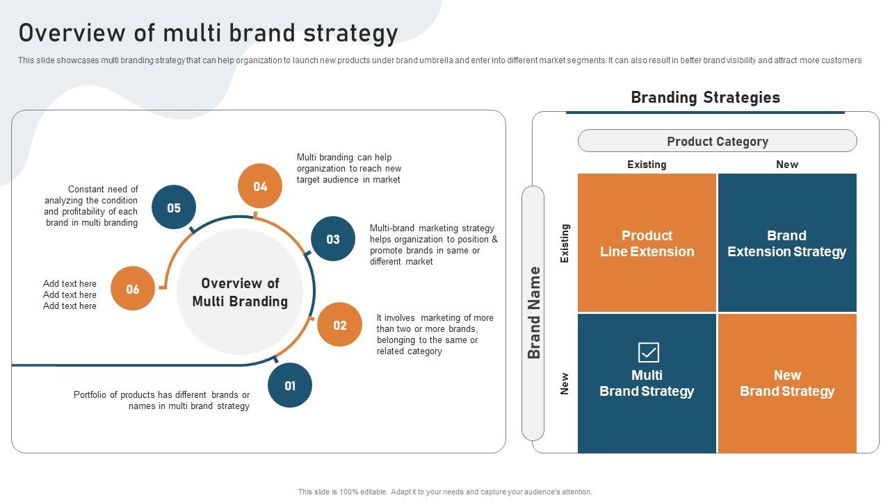 Targeted_Market_Entry_Strategy_Overview_Of_Multi_Brand_Strategy_Summary_PDF_Slide_1.jpg