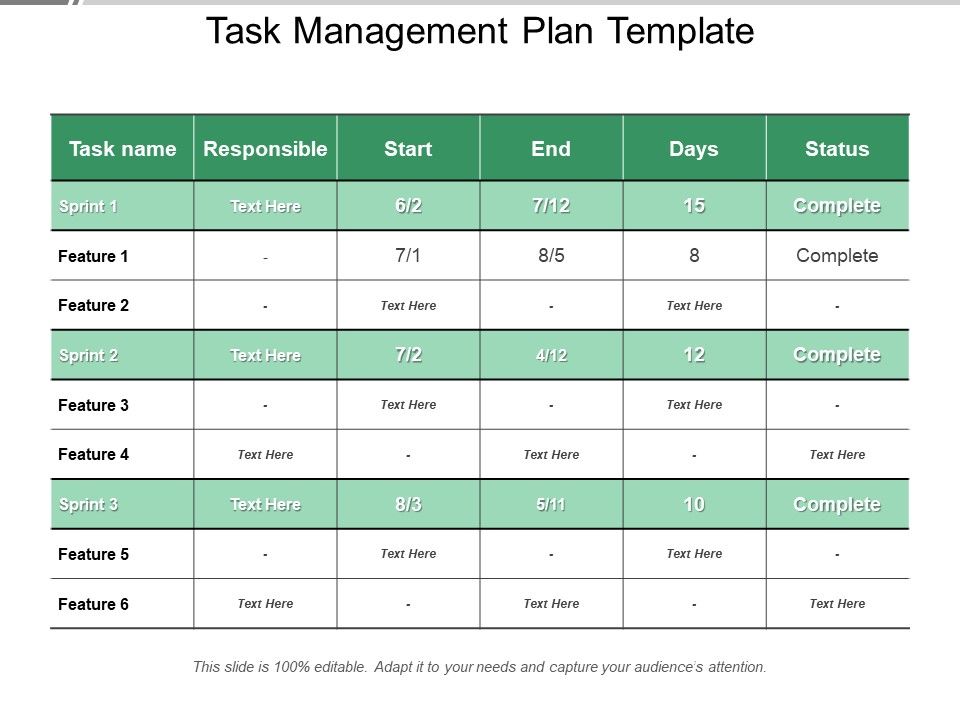 Task_Management_Plan_Template_Ppt_PowerPoint_Presentation_Portfolio_Styles_Slide_1.jpg
