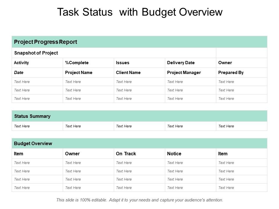 Task_Status_With_Budget_Overview_Ppt_PowerPoint_Presentation_Model_Example_Introduction_Slide_1.jpg