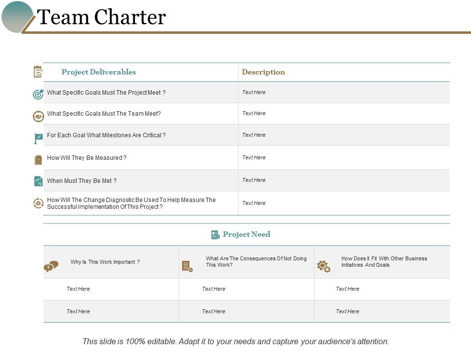 Team_Charter_Business_Management_Marketing_Ppt_PowerPoint_Presentation_Slides_Visual_Aids_Slide_1.jpg
