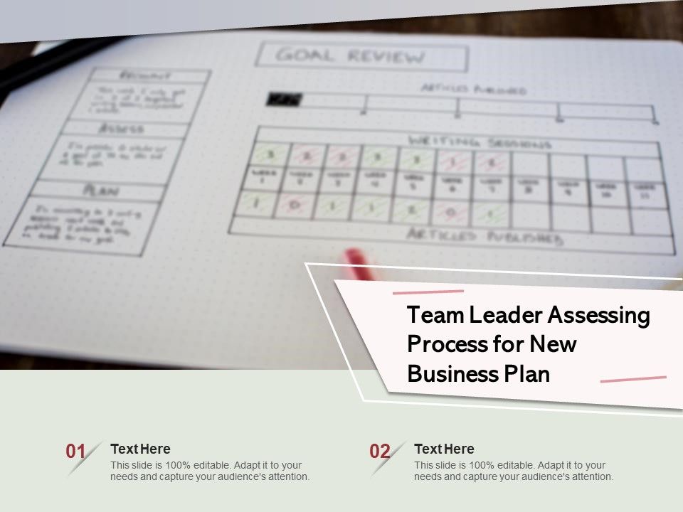 Team_Leader_Assessing_Process_For_New_Business_Plan_Ppt_PowerPoint_Presentation_File_Visuals_PDF_Slide_1.jpg