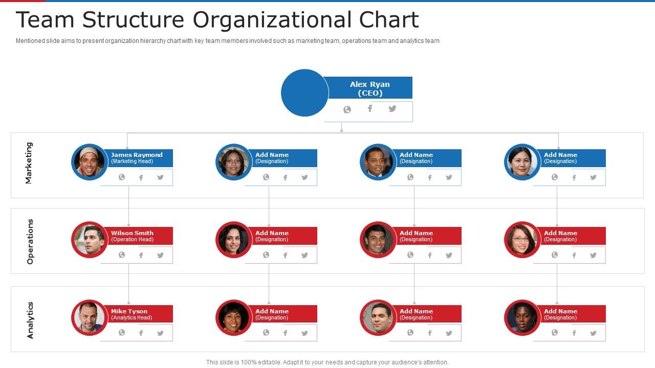 Team_Structure_Organizational_Chart_Ppt_Infographics_Example_Introduction_PDF_Slide_1.jpg