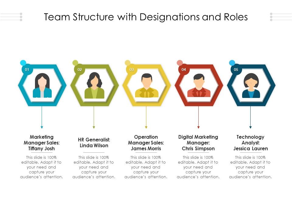 Team_Structure_With_Designations_And_Roles_Ppt_PowerPoint_Presentation_Gallery_Samples_PDF_Slide_1.jpg