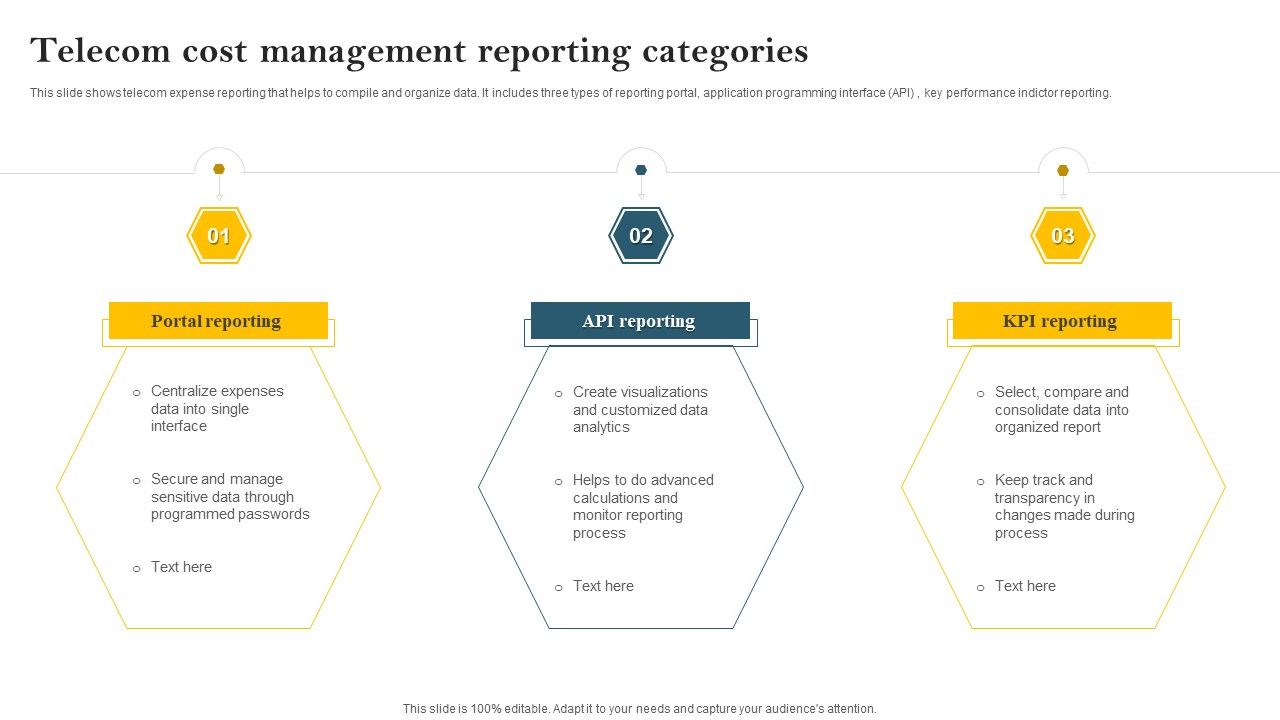 Telecom_Cost_Management_Reporting_Categories_Mockup_PDF_Slide_1.jpg