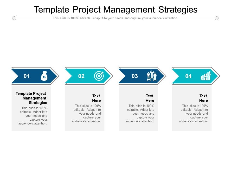 Template_Project_Management_Strategies_Ppt_PowerPoint_Presentation_Inspiration_Files_Cpb_Pdf_Slide_1.jpg