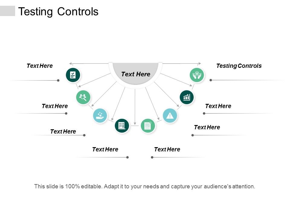 Testing_Controls_Ppt_PowerPoint_Presentation_Slides_Designs_Download_Cpb_Slide_1.jpg
