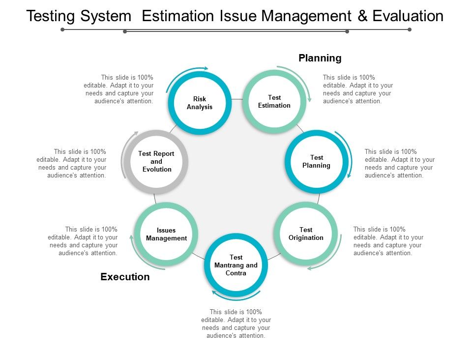Testing_System_Estimation_Issue_Management_And_Evaluation_Ppt_PowerPoint_Presentation_Layouts_Example_Slide_1.jpg