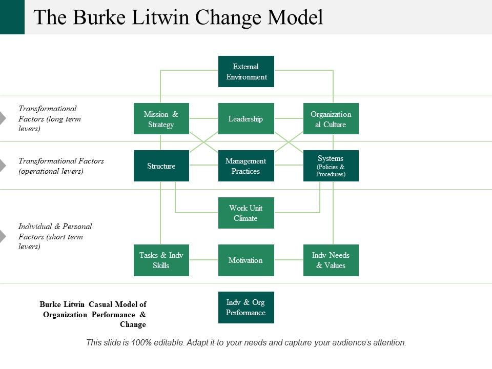 The_Burke_Litwin_Change_Model_Ppt_PowerPoint_Presentation_Infographics_Shapes_Slide_1.jpg