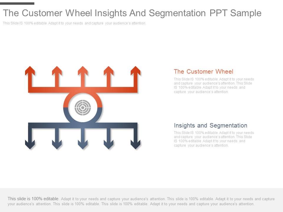 The_Customer_Wheel_Insights_And_Segmentation_Ppt_Sample_1.jpg