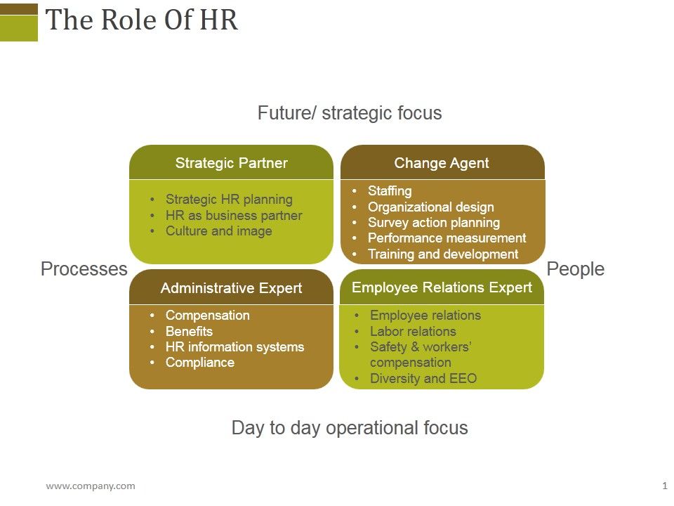 The_Role_Of_Hr_Ppt_PowerPoint_Presentation_File_Infographic_Template_Slide_1.jpg