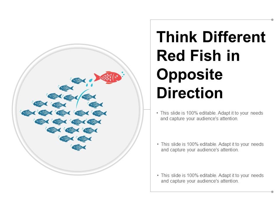 Think_Different_Red_Fish_In_Opposite_Direction_Ppt_PowerPoint_Presentation_Outline_Format_Slide_1.jpg