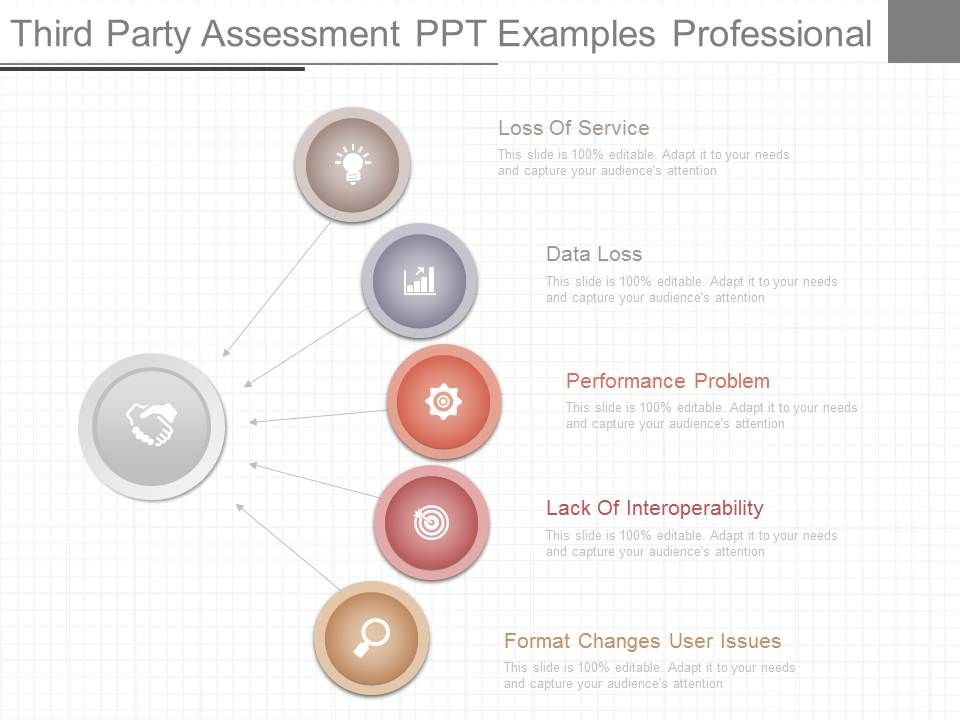 Third_Party_Assessment_Ppt_Examples_Professional_1.jpg