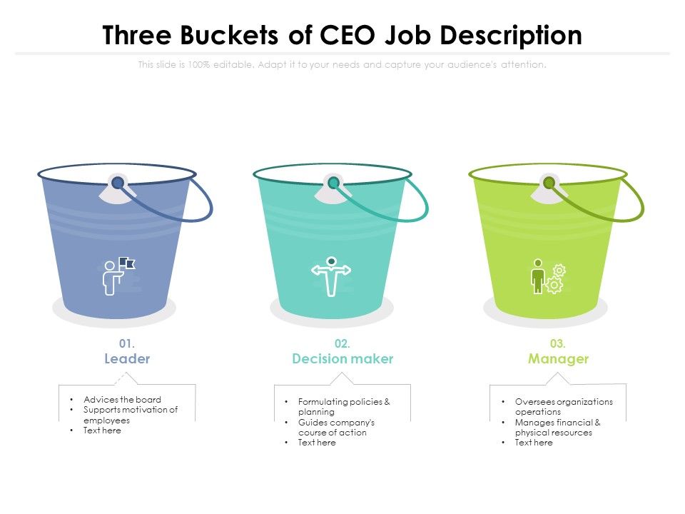 Three_Buckets_Of_CEO_Job_Description_Ppt_PowerPoint_Presentation_Gallery_Topics_PDF_Slide_1.jpg