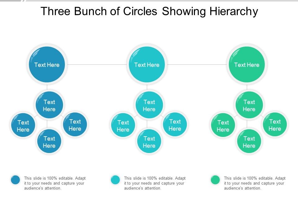 Three_Bunch_Of_Circles_Showing_Hierarchy_Ppt_PowerPoint_Presentation_Portfolio_Sample_Slide_1.jpg