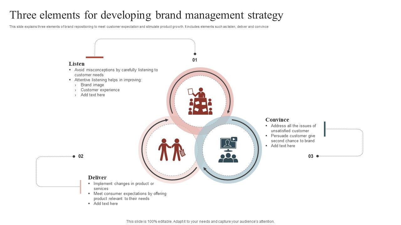 Three_Elements_For_Developing_Brand_Management_Strategy_Download_PDF_Slide_1.jpg