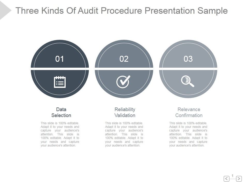 Three_Kinds_Of_Audit_Procedure_Ppt_PowerPoint_Presentation_Guidelines_Slide_1.jpg
