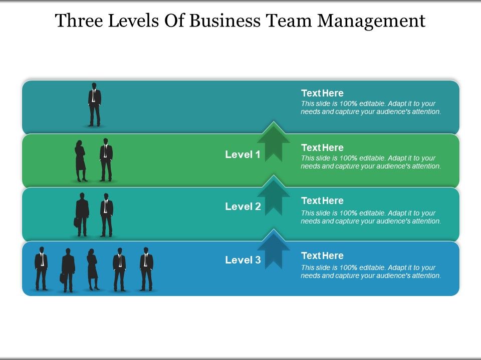 Three_Levels_Of_Business_Team_Management_Ppt_PowerPoint_Presentation_Infographics_Example_Introduction_Slide_1.jpg