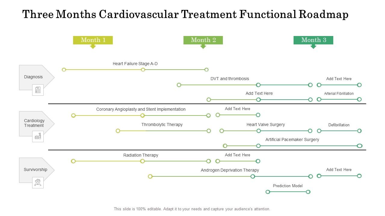 Three_Months_Cardiovascular_Treatment_Functional_Roadmap_Graphics_Slide_1.jpg