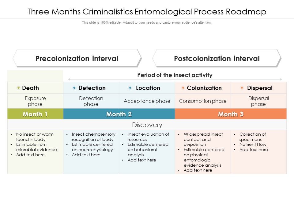 Three_Months_Criminalistics_Entomological_Process_Roadmap_Summary_Slide_1.jpg