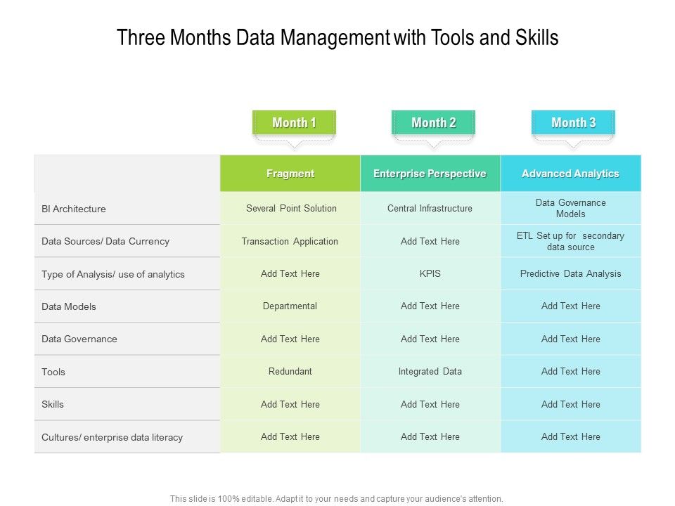 Three_Months_Data_Management_With_Tools_And_Skills_Microsoft_Slide_1.jpg