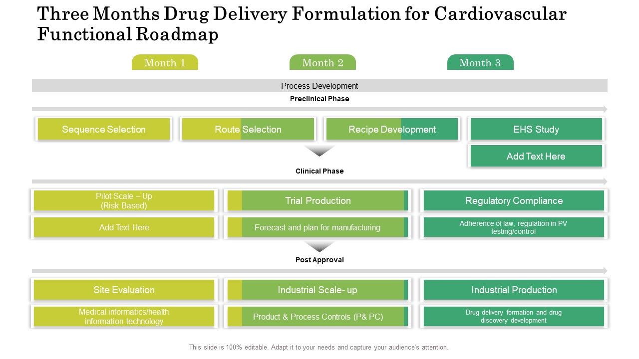 Three_Months_Drug_Delivery_Formulation_For_Cardiovascular_Functional_Roadmap_Infographics_Slide_1.jpg