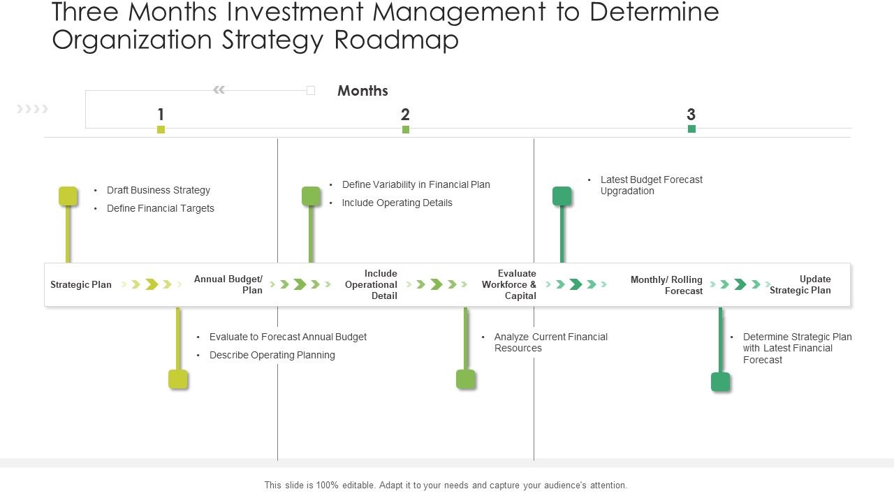 Three_Months_Investment_Management_To_Determine_Organization_Strategy_Roadmap_Introduction_Slide_1.jpg